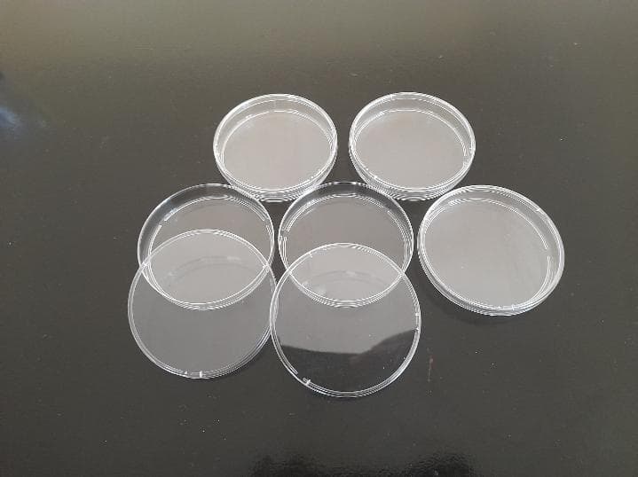 Petri Dishes