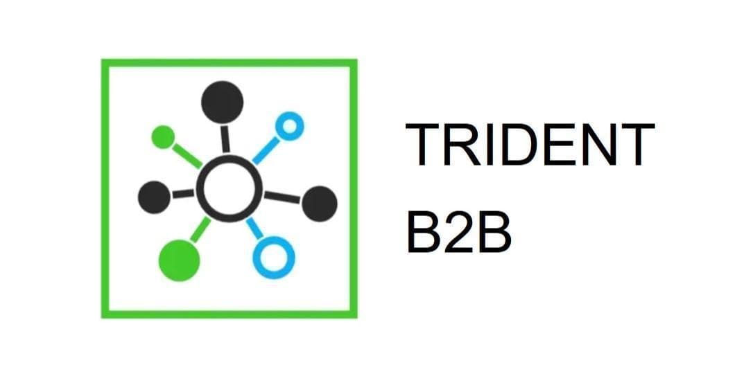Trident B2B